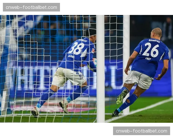 专访沙尔克04门将：谈在保级压力下如何指挥防线